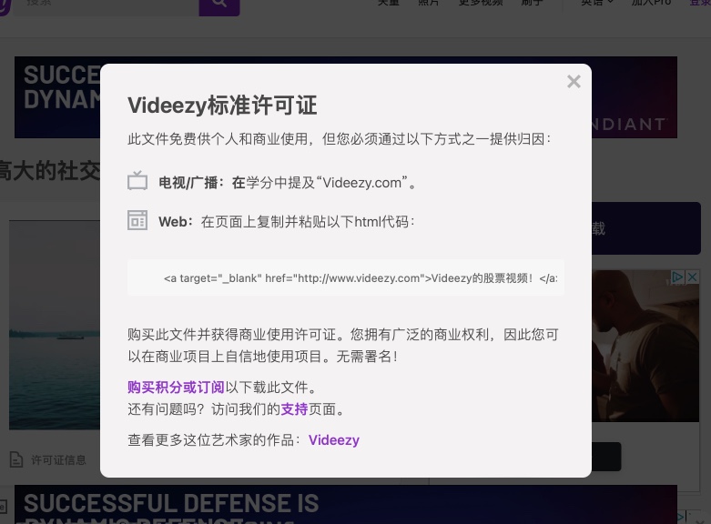 Videezy(圖1) videezy-license.jpg
