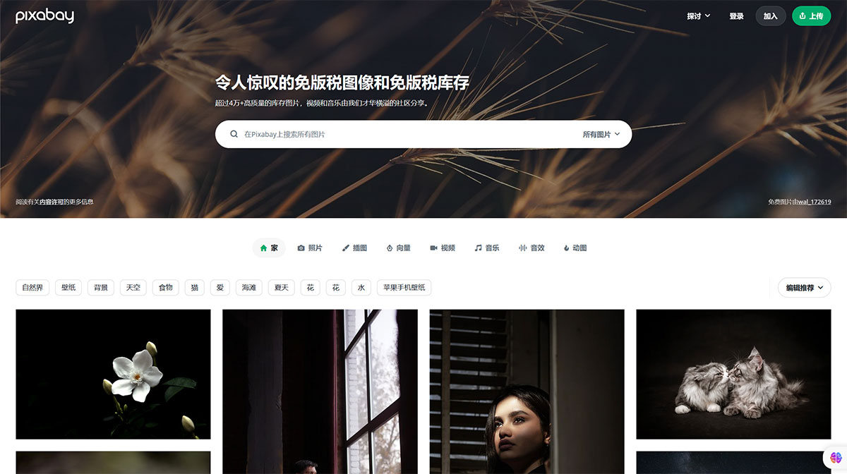 Pixabay(圖1) 4萬+令人驚嘆的免費圖片可在任何地方使用---Pixabay---Pixabay---pixabay.jpg