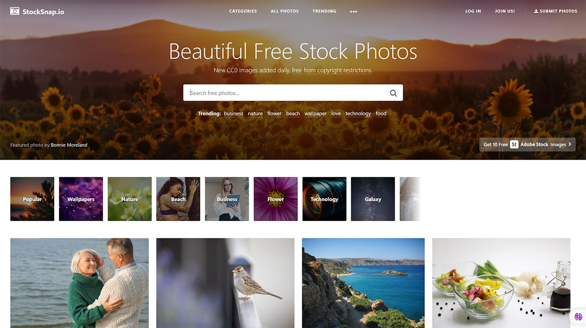 StockSnap(圖1) Free-Stock-Photos-and-Images---StockSnap.io---stocksnap.io.jpg