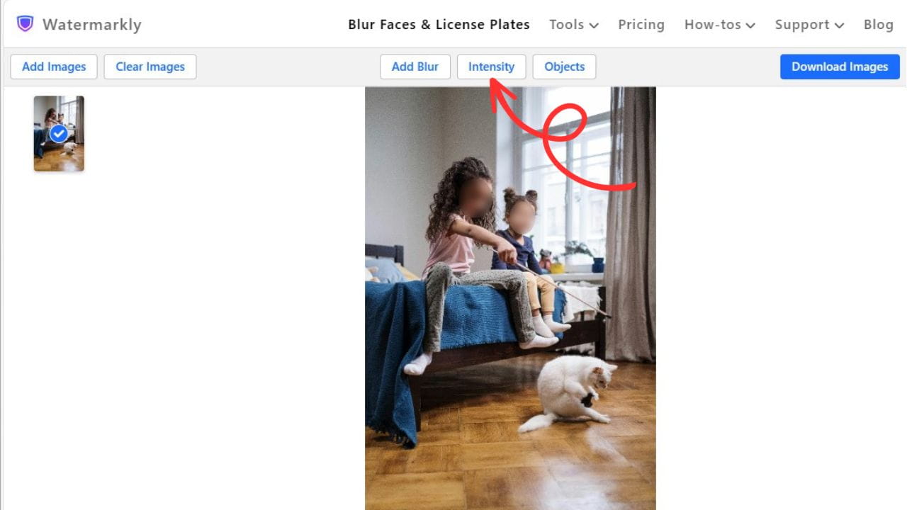 Watermarkly(圖2) 10002 (1).jpg