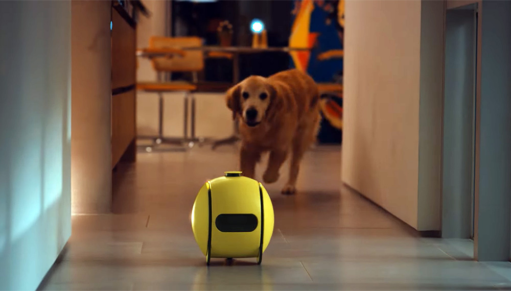 AI家居伴侶機器人：Ballie