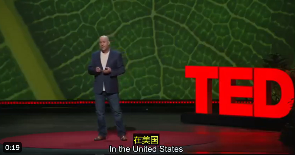 VideoLingo: 一款自動下載、翻譯、配音的視頻工具