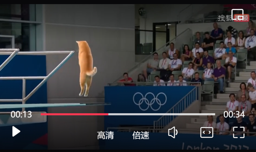 超萌“貓貓跳水”視頻效果 超萌“貓貓跳水”視頻效果.jpg